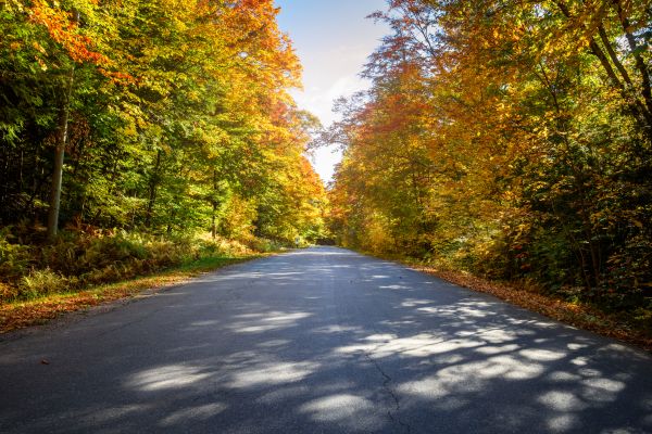 Cost of Blacktop Replacement in Fallbrook